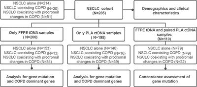 Clinical characteristics and gene mutation profiles of chronic obstructive pulmonary disease in non-small cell lung cancer